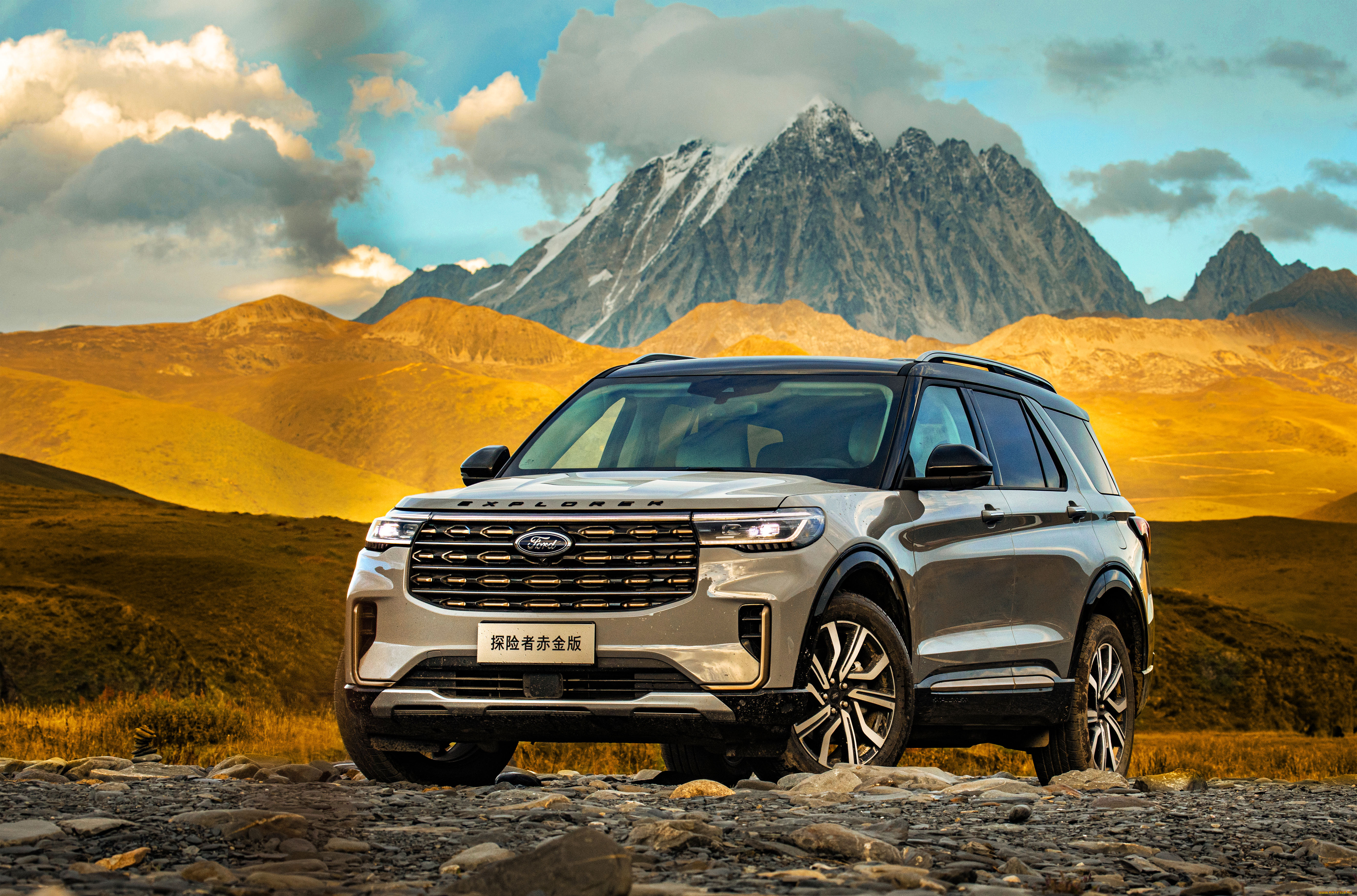 ����������, ford